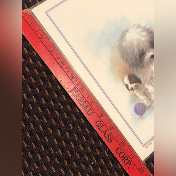 NWT Reversible Pet Bowl Dog food or water Plasticized Floor Placemat! - Picture 16 of 16